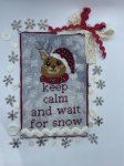 (image for) Wait For Snow